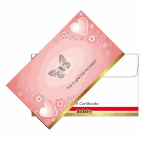 berkeley-matching-envelope-design-08